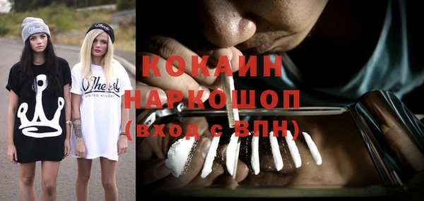 дживик Надым