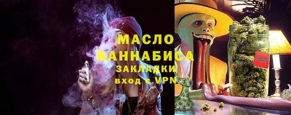 дживик Надым