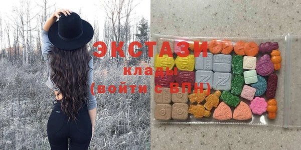 дживик Надым